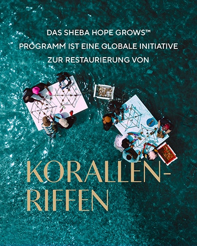 Korallenriffen