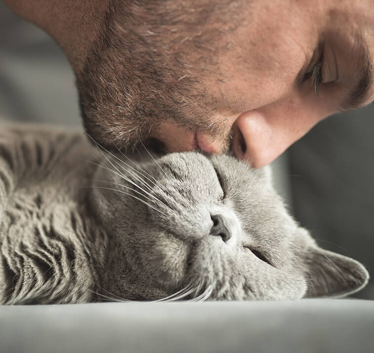 Besitzer küsst Katze
