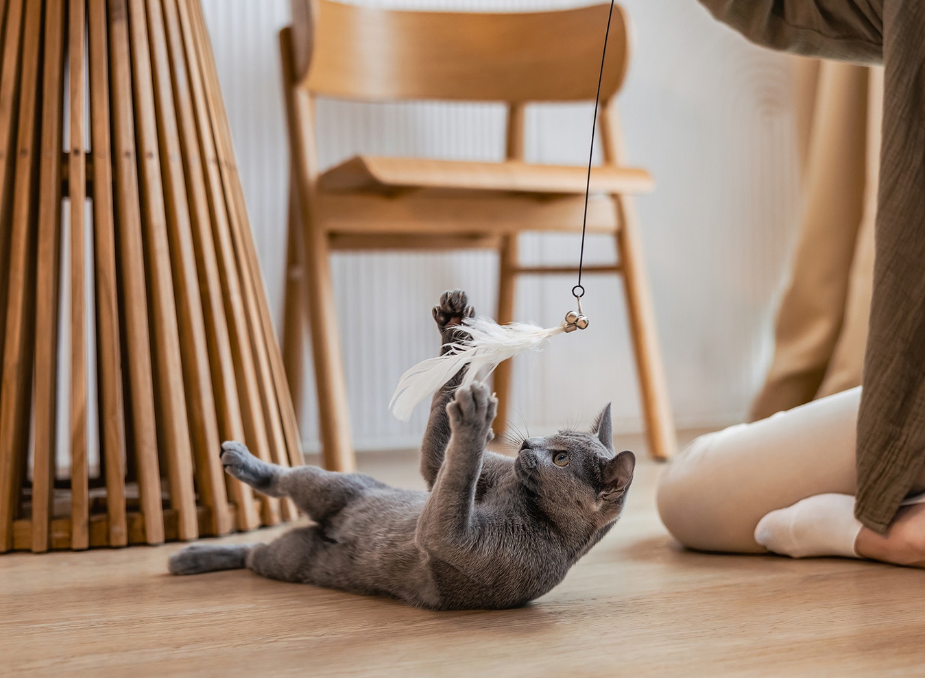 Mache Spielzeit zum täglichen Ritual