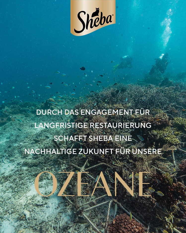 Ozeane