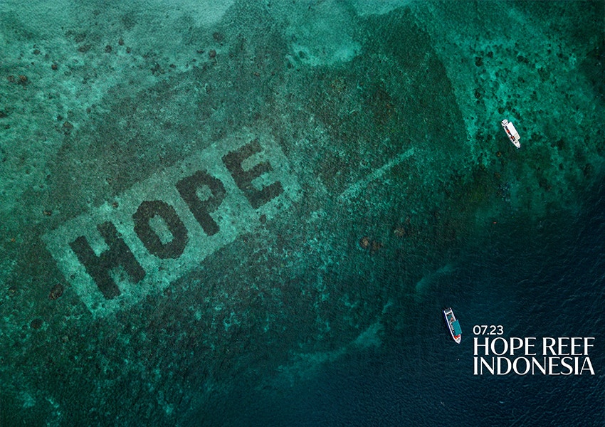 sheba hope reef