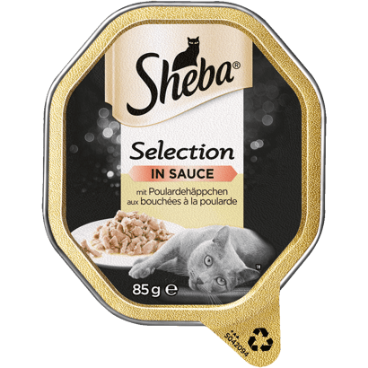 Selection in Sauce mit Poulardehäppchen, Schale