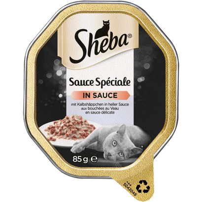 Sauce Spéciale mit Kalbshäppchen in heller Sauce, Schale