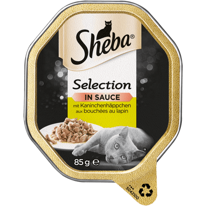 Selection in Sauce mit Kaninchenhäppchen, Schale