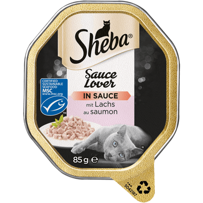 Sauce Lover mit Lachs MSC, Schale