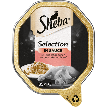 Selection in Sauce mit Rinderhäppchen, Schale