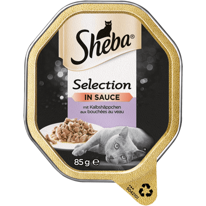 Selection in Sauce mit Kalbshäppchen, Schale