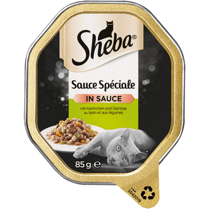 Sauce Spéciale mit Kaninchen und Gemüse, Schale