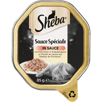 Sauce Spéciale mit Hühnchen in Kräutersauce, Schale
