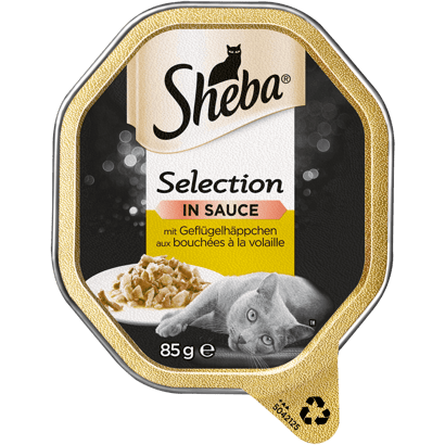 Selection in Sauce mit Geflügelhäppchen, Schale