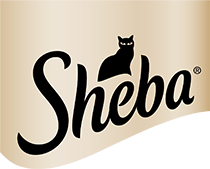 Sheba DE