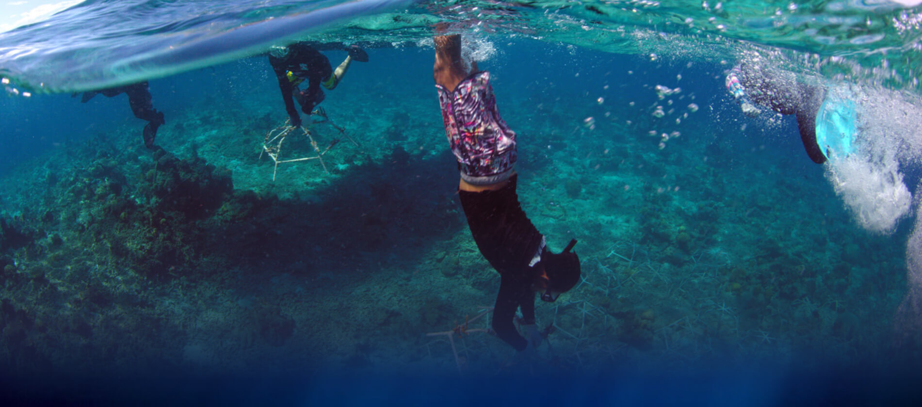 Leute mit Schnorcheln, die unter Wasser tauchen